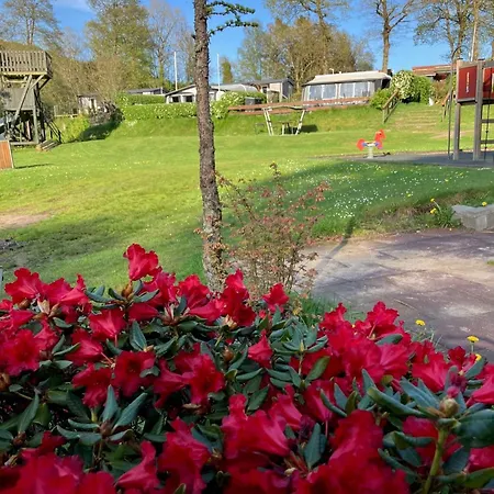 Randboldal & Campingplasser Randbøl